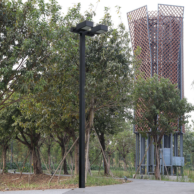 千锂马双头高杆灯款式新颖