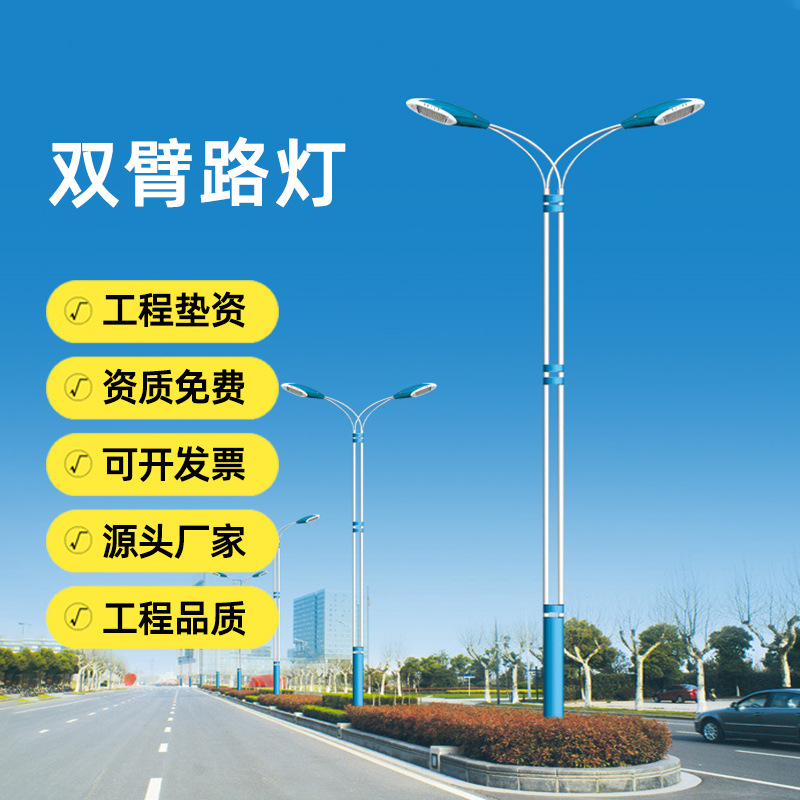 千锂马厂家道路照明市路灯